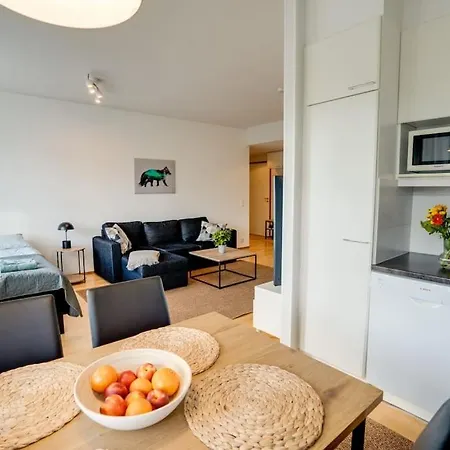 Aurora Fox Suviheinae *