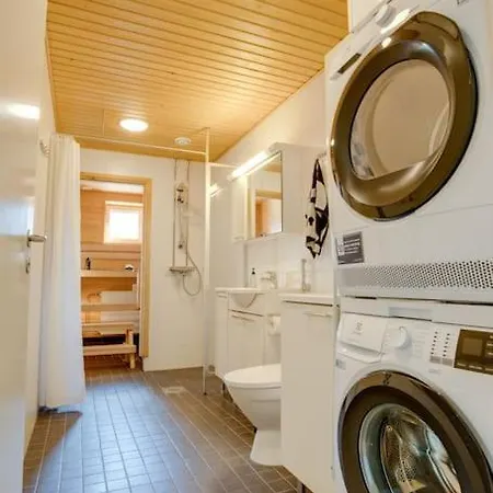 Aurora Fox Suviheinae *