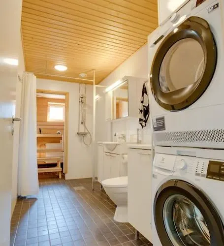 Aurora Fox Suviheinae *