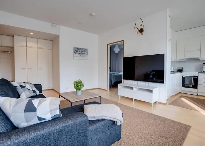 Aurora Fox Suviheinae 로바니에미